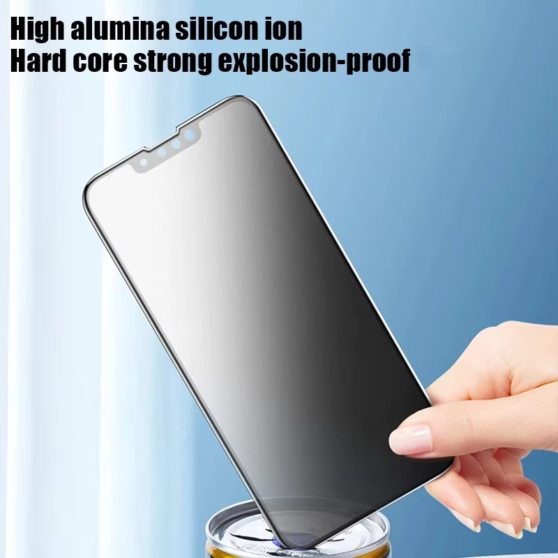Protector de pantalla de priva - Drone Xiaomi Rc reseña y precio